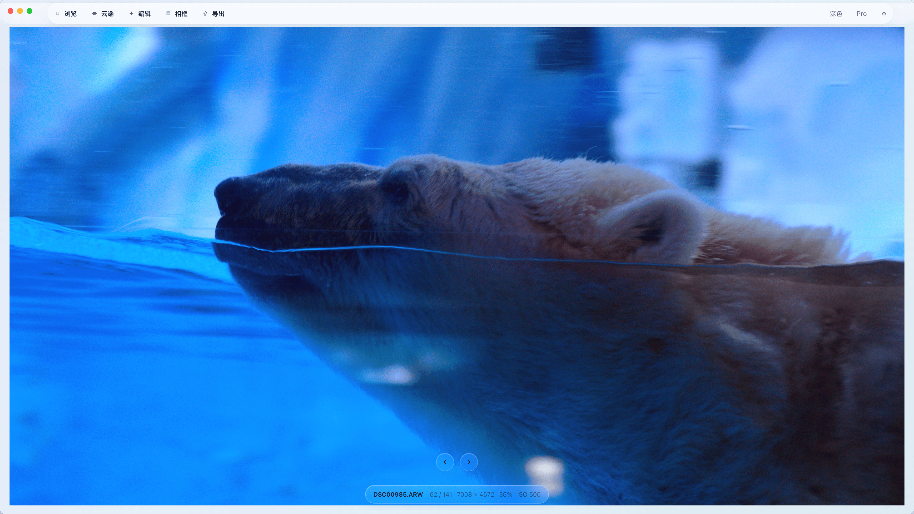 Lumipic 软件工作台界面预览图